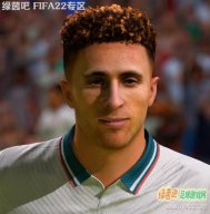 FIFA22 利物浦边锋迪奥戈·若塔脸型补丁