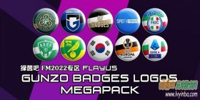 FM2022 韩国GZ立体圆形队徽包v22.05