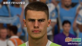 FIFA22 沃尔夫斯堡后卫米基·范德芬脸型补丁