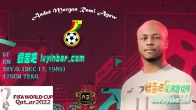FIFA23 加纳队球员安德烈·阿尤脸型补丁[含FIFA22版本]